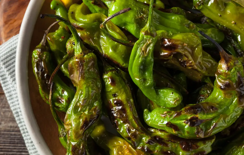 How To Roast Shishito Peppers: A Smoking Hot Guide - Toast It Roast It