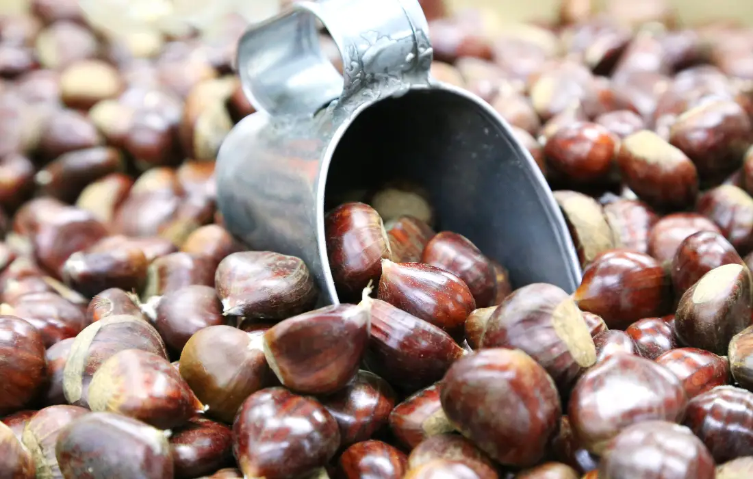 Roasting Chestnuts in an Air Fryer