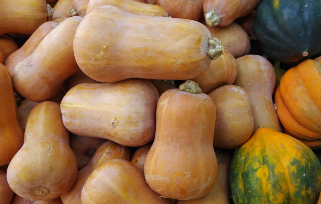 whole honeynut squash